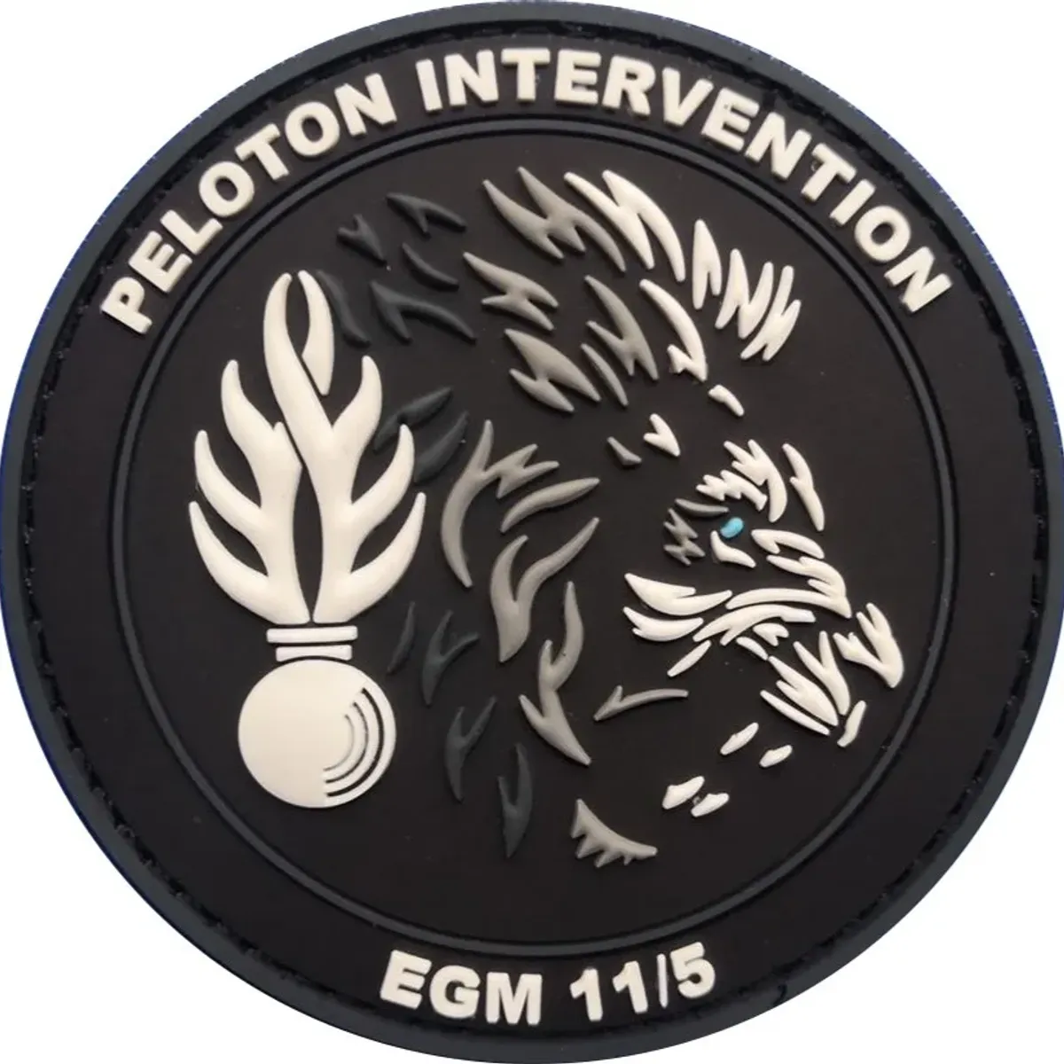PI EGM 11/5 Sathonay-Camp