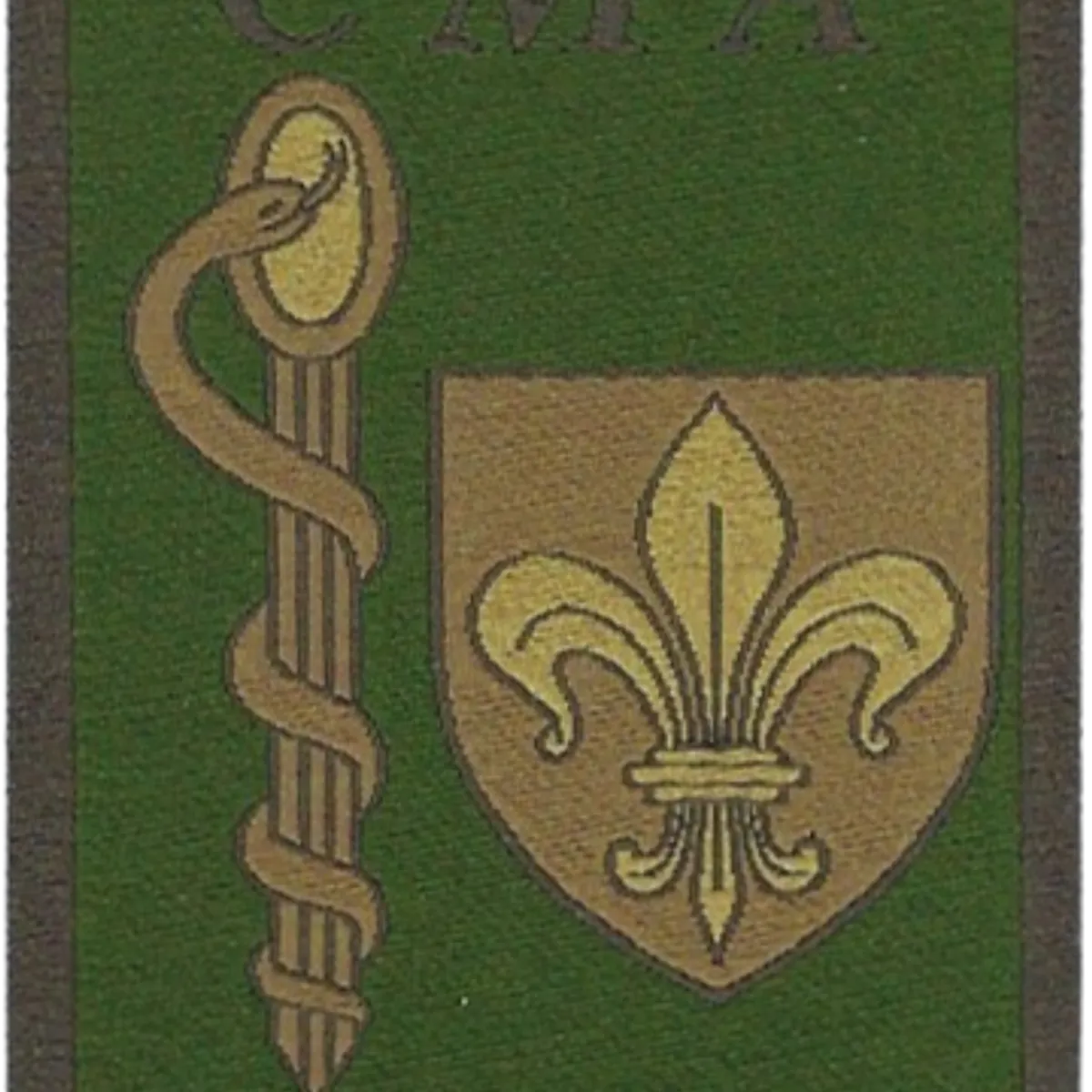 SSA : CMA Lille (3ème CMA) Type II BV