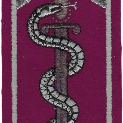 SSA : ESOSSA Ecole des Sous-Officiers du SSA Orléans Cadre argenté et serpent argenté, épée dorée