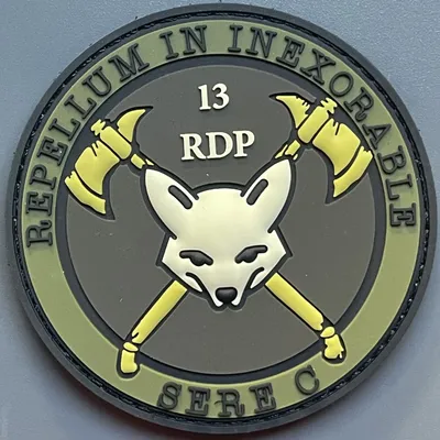 13e RDP - 1er escadron - Stage  SERE niveau C