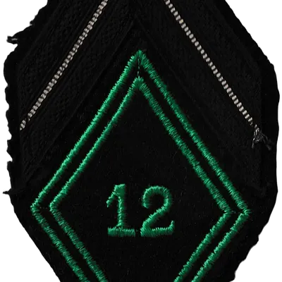 Losange de bras du 12ème Régiment de Chasseurs - Brigadier