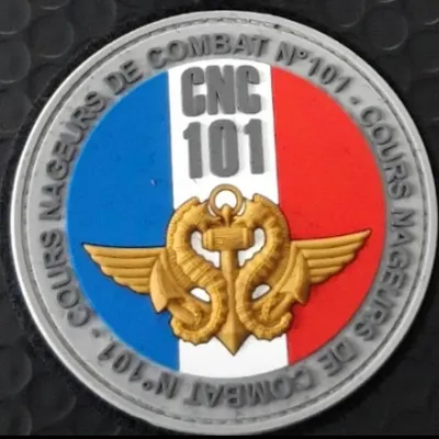 Patch nageurs de combat