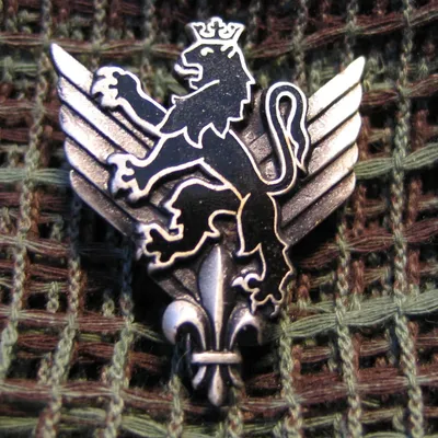 6e RHC - Régiment d'Hélicoptères de Combat