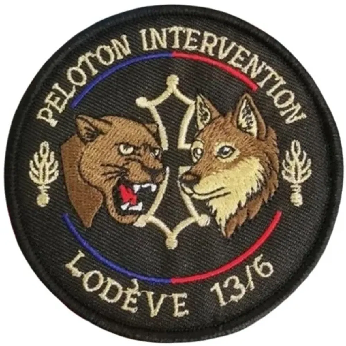 PI EGM 13/6 Lodève