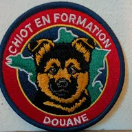 Chiot en formation