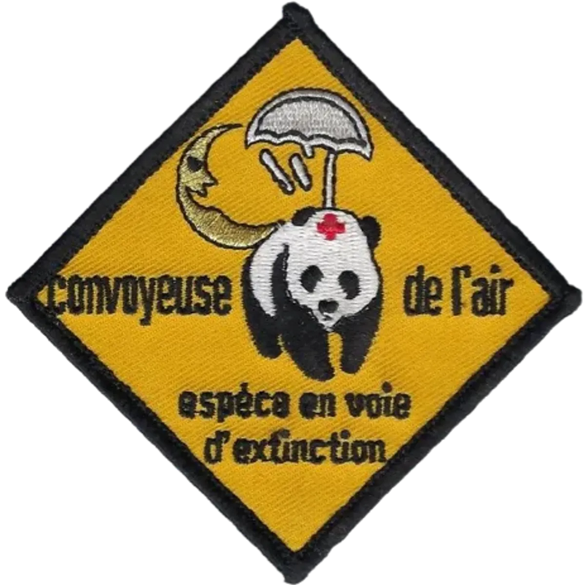 SSA Air : EAS Convoyeuse de l'Air "Espèce en voie d'extinction"