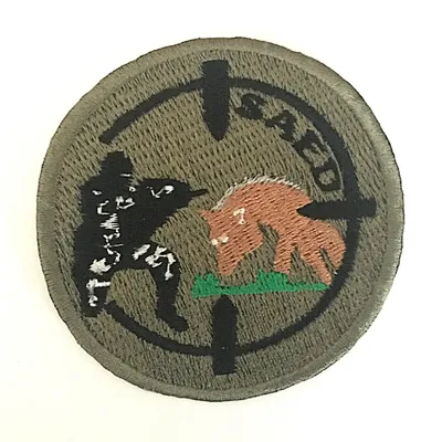 2e Régiment d'Infanterie de Marine - Compagnie d'Eclairage et d'Appui - SAED 