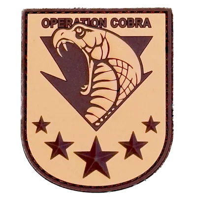 GCP - Opération COBRA
