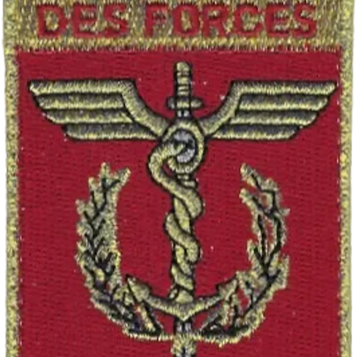 SSA : Médecines des Forces Couleurs V1 