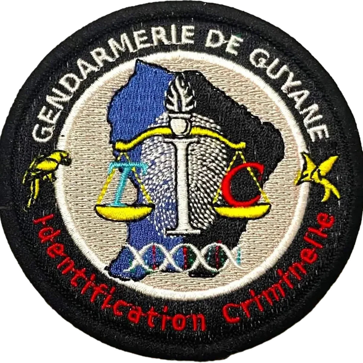 CIC 973