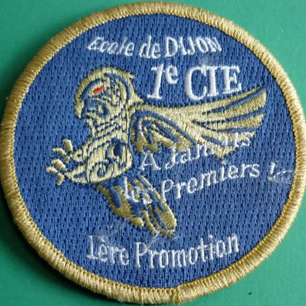 ESOG Dijon - 1ère Promotion 