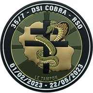 EGM 35/7 Revigny-sur-Ornain - DSI Cobra - Le Tampon