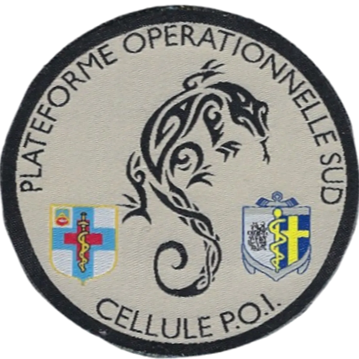 SSA : Plateforme Opérationnelle Sud Cellule POI