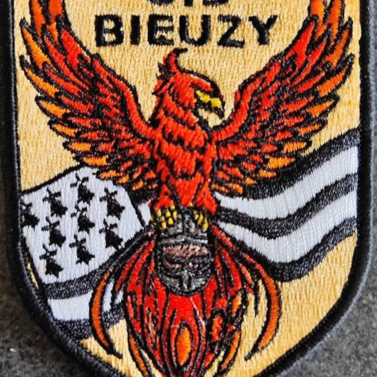 CIS Bieuzy (56)