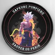 SP - Sauver ou Périr - Dragon Ball Z