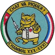 SSA : CHAMMAL 30-31 "CHAT VA PIQUER"