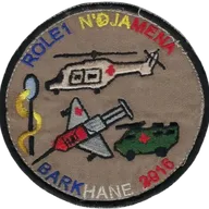 SSA : Role 1 N'Djamena 2016