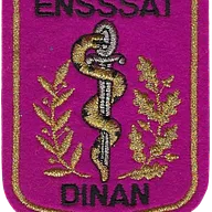 SSA : ENSSSAT Dinan 6 feuilles (chêne)