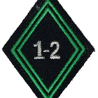 Losange de bras du 1er-2ème Régiment de Chasseurs - Modèle cadre