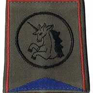 Passant d'épaule du Groupe d'Escadrons 1er Régiment de Chasseurs - 2ème Escadron (V1)