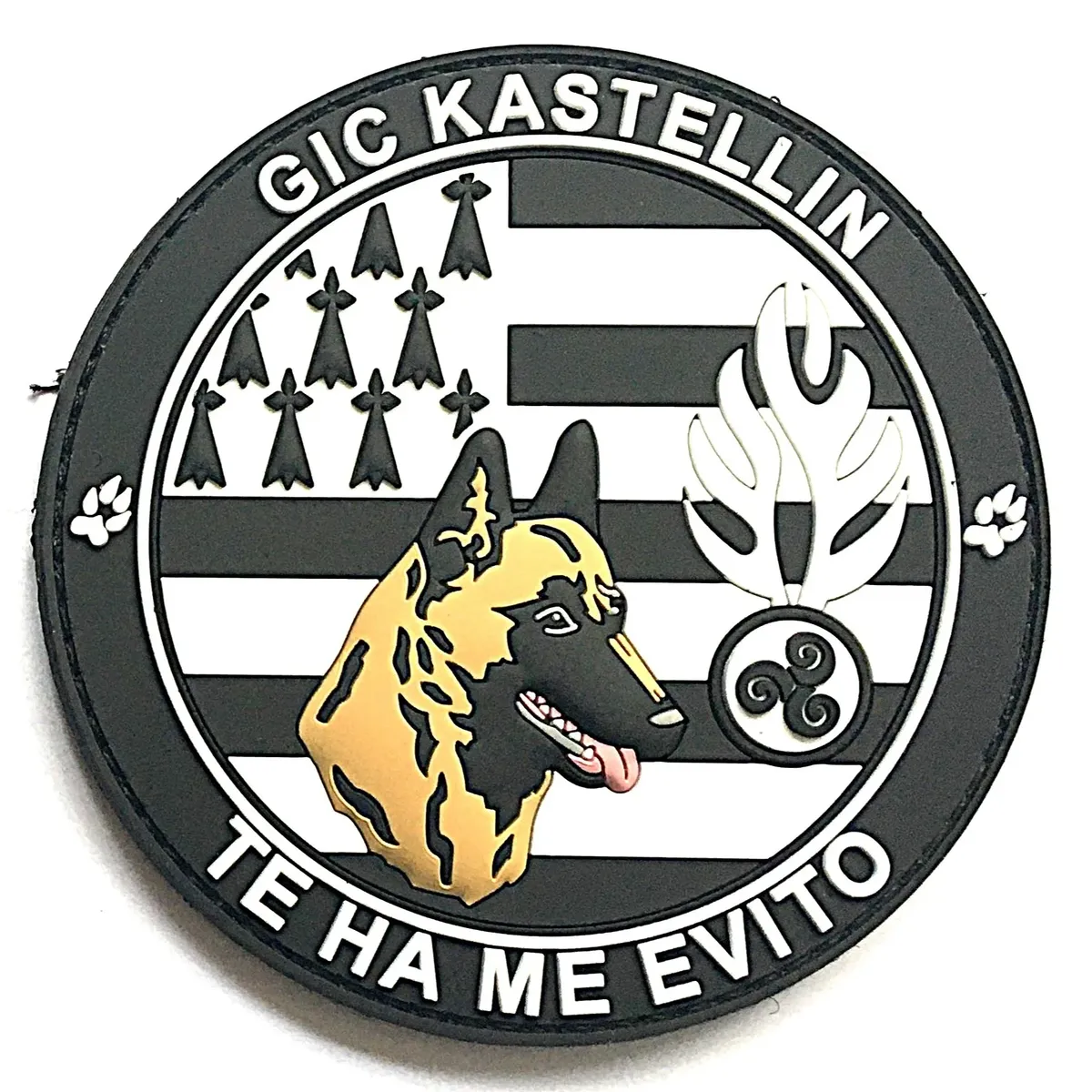 GIC - Châteaulin