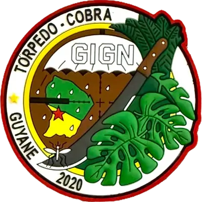 GIGN - Guyane 2020