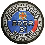 EDSR 31