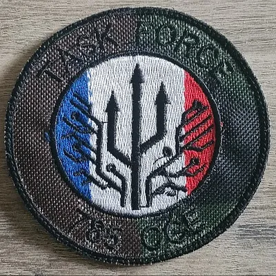 785eme Compagnie de Guerre Électronique  / Task Force
