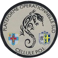 SSA : Plateforme Opérationnelle Sud Cellule POI
