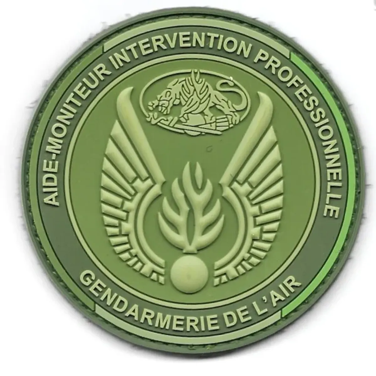 GAE - Aide-Moniteur Intervention Professionnelle 