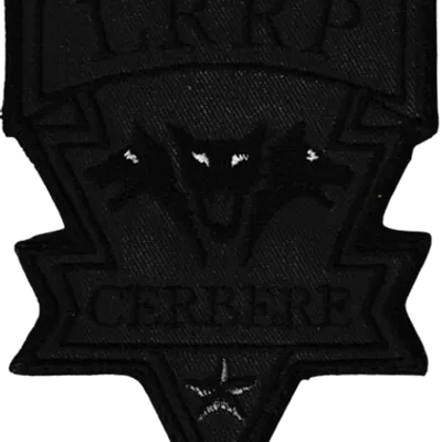 2ème Régiment de Hussards - 3ème Escadron - Opération Barkhane - Sous-Groupement de Recherche Multicapeurs - Patrouille Cerbère 10