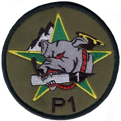 4ème Régiment de Chasseurs - 4ème Escadron - 1ier Peloton