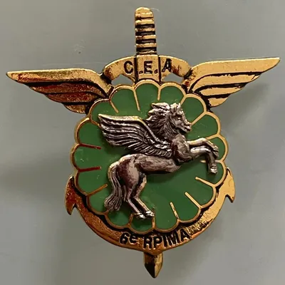 6e RPIMa, CEA