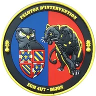 PI EGM 41/7 Dijon