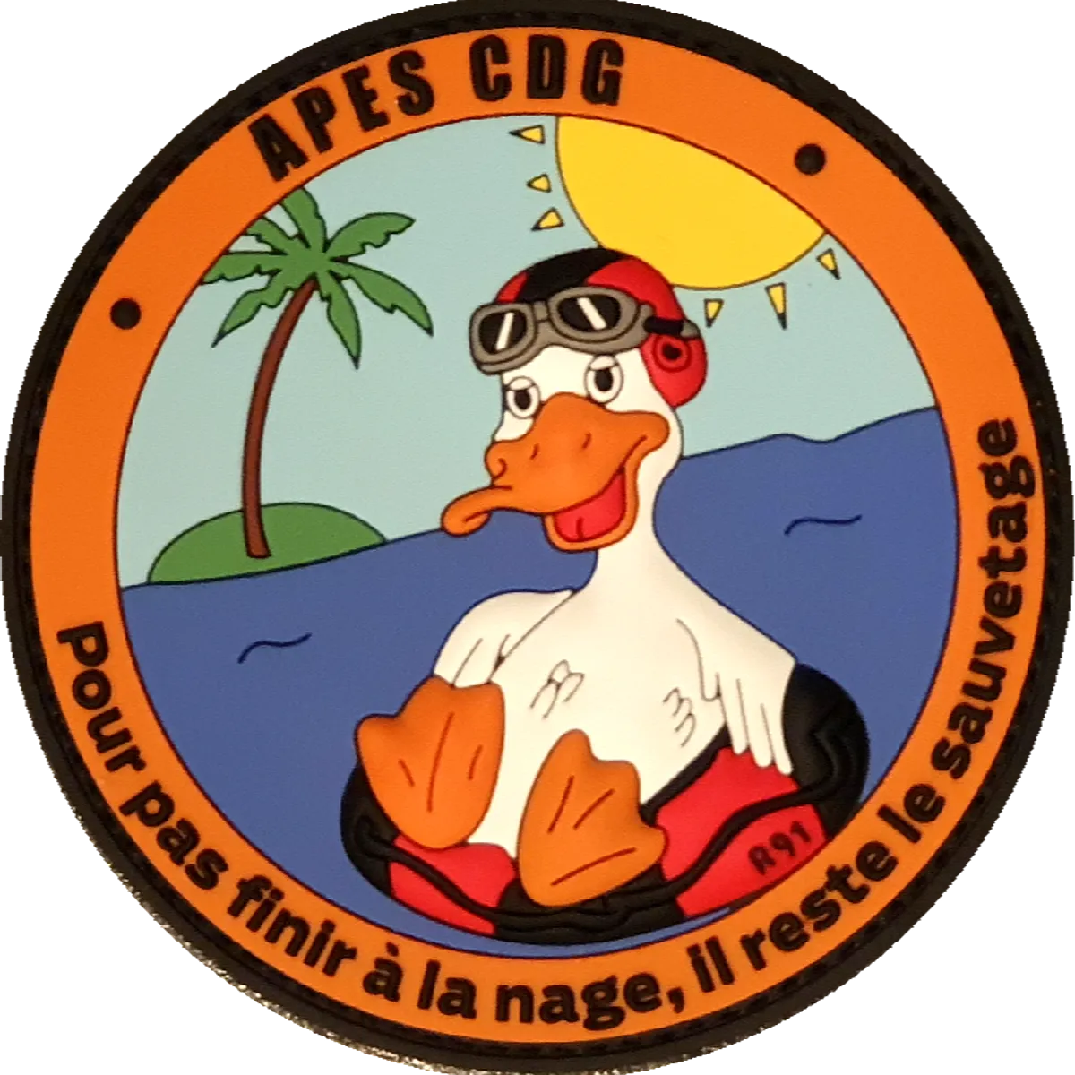 Charles de Gaulle - APES