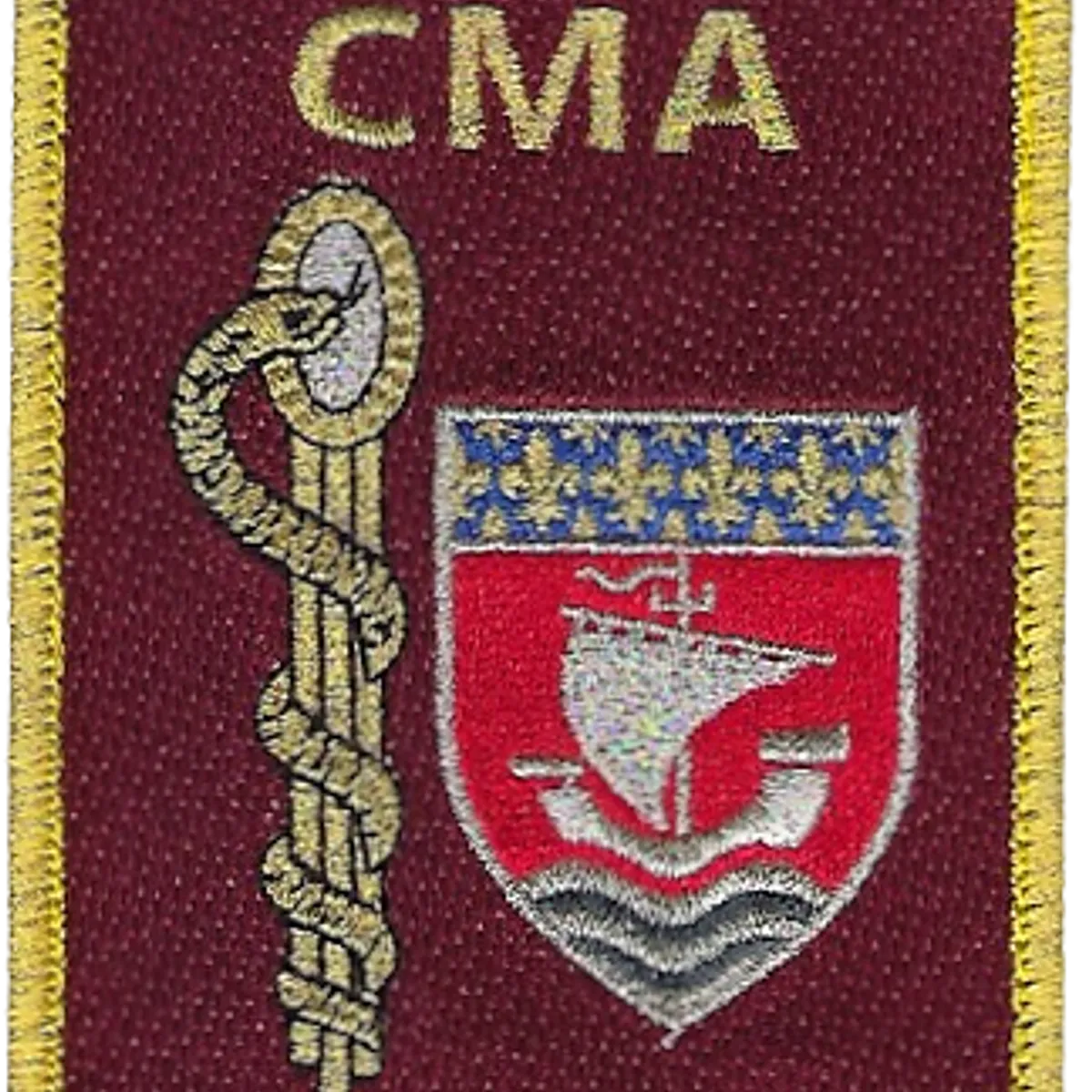 SSA : CMA Paris (1er CMA)