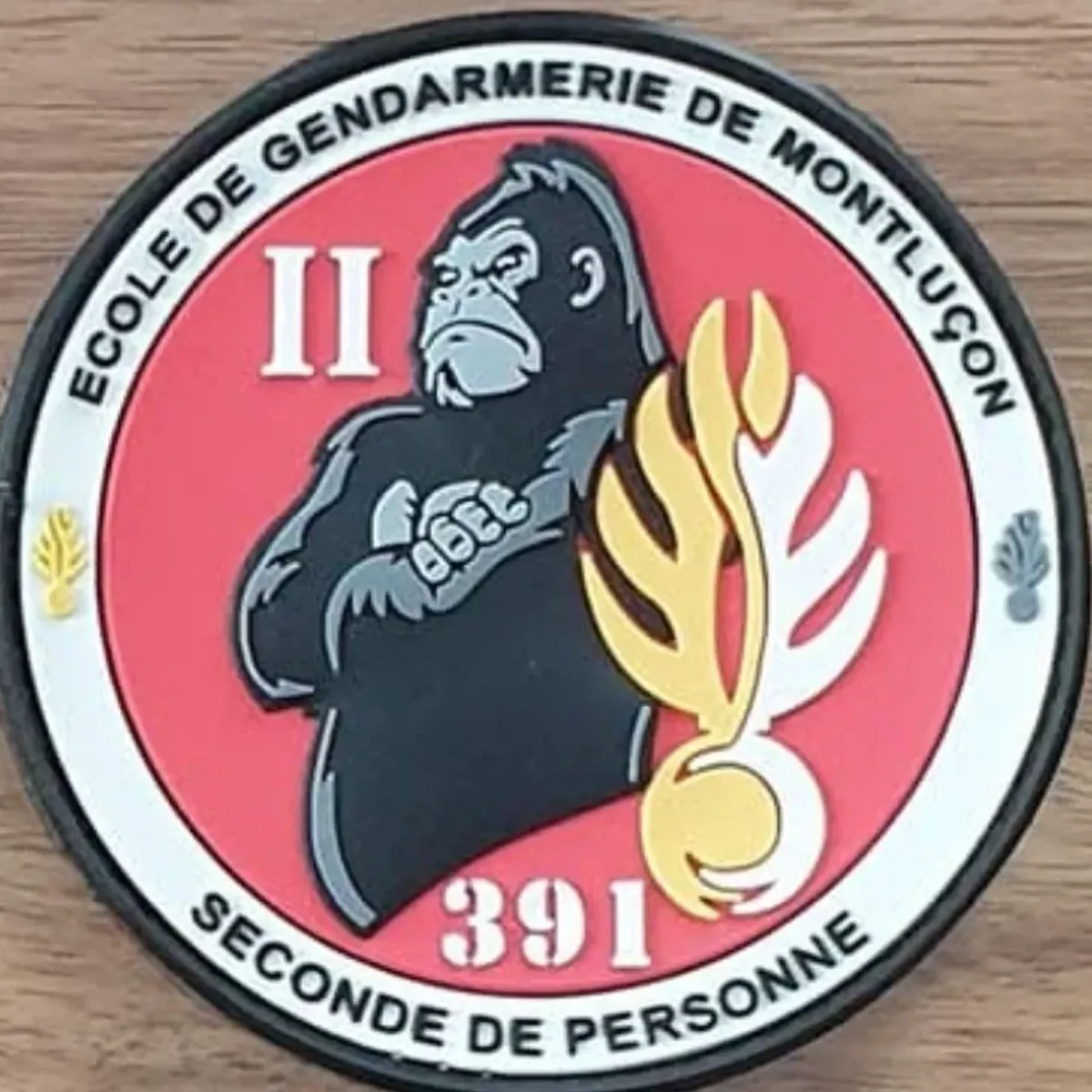 ESOG Montluçon - 391e Promotion 