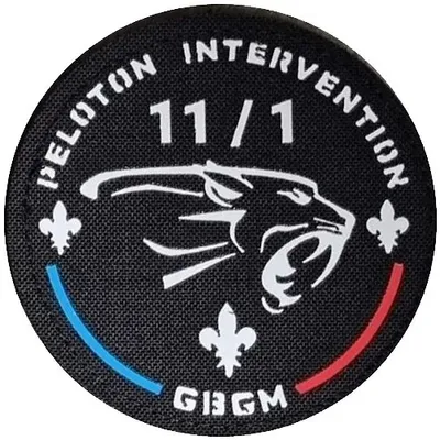 PI EGM 11/1 Satory GBM