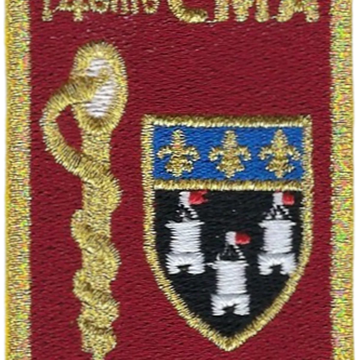 SSA : CMA Tours (14ème CMA) Type II
