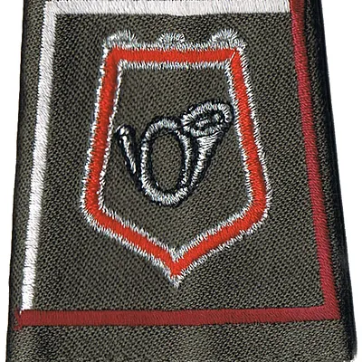 Passant d'épaule du 1er-2ème Régiment de Chasseurs - 6ème Escadron