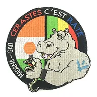 1er RHC - CERASTES II - NIGER