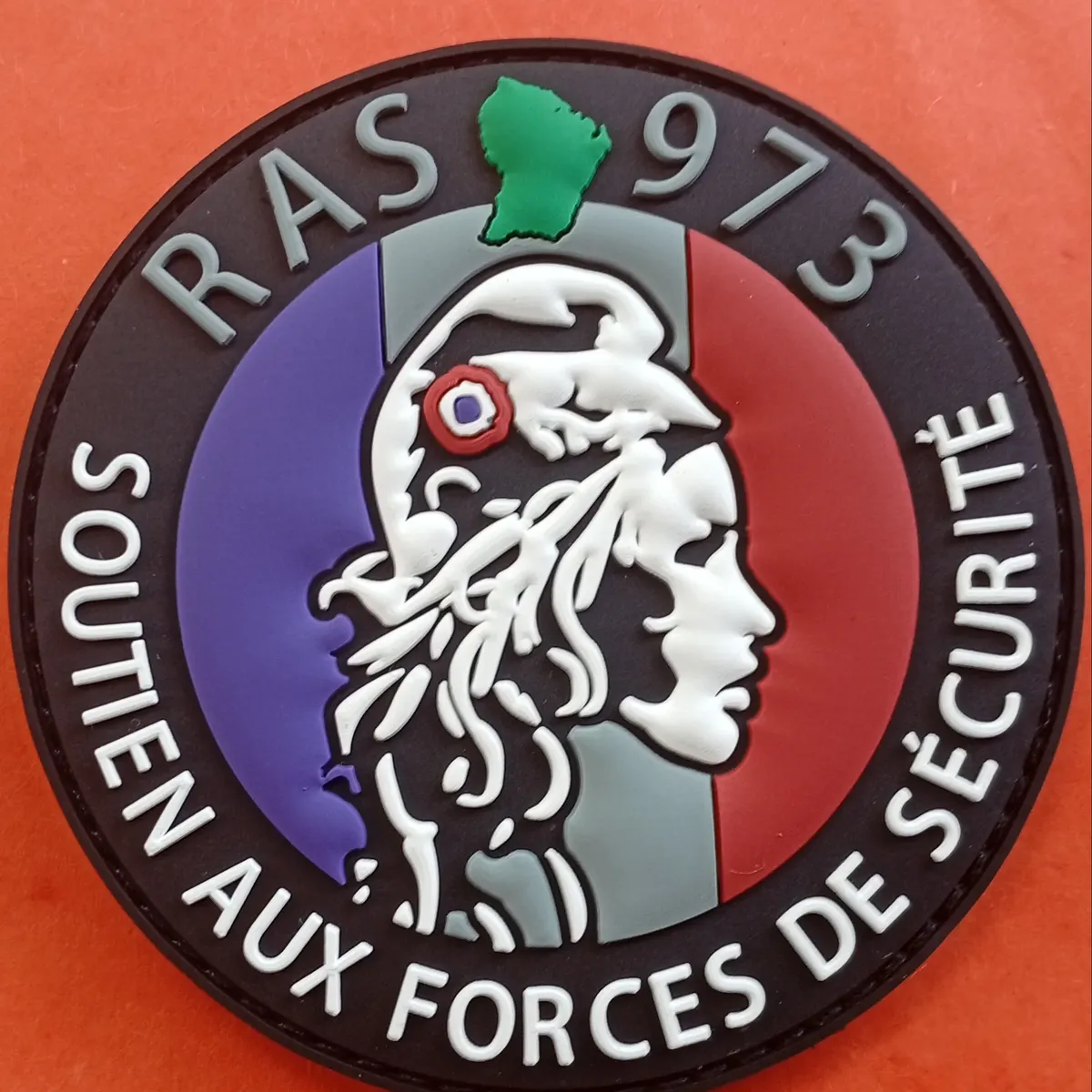 RAS 973 - Soutien aux forces de Sécurité 