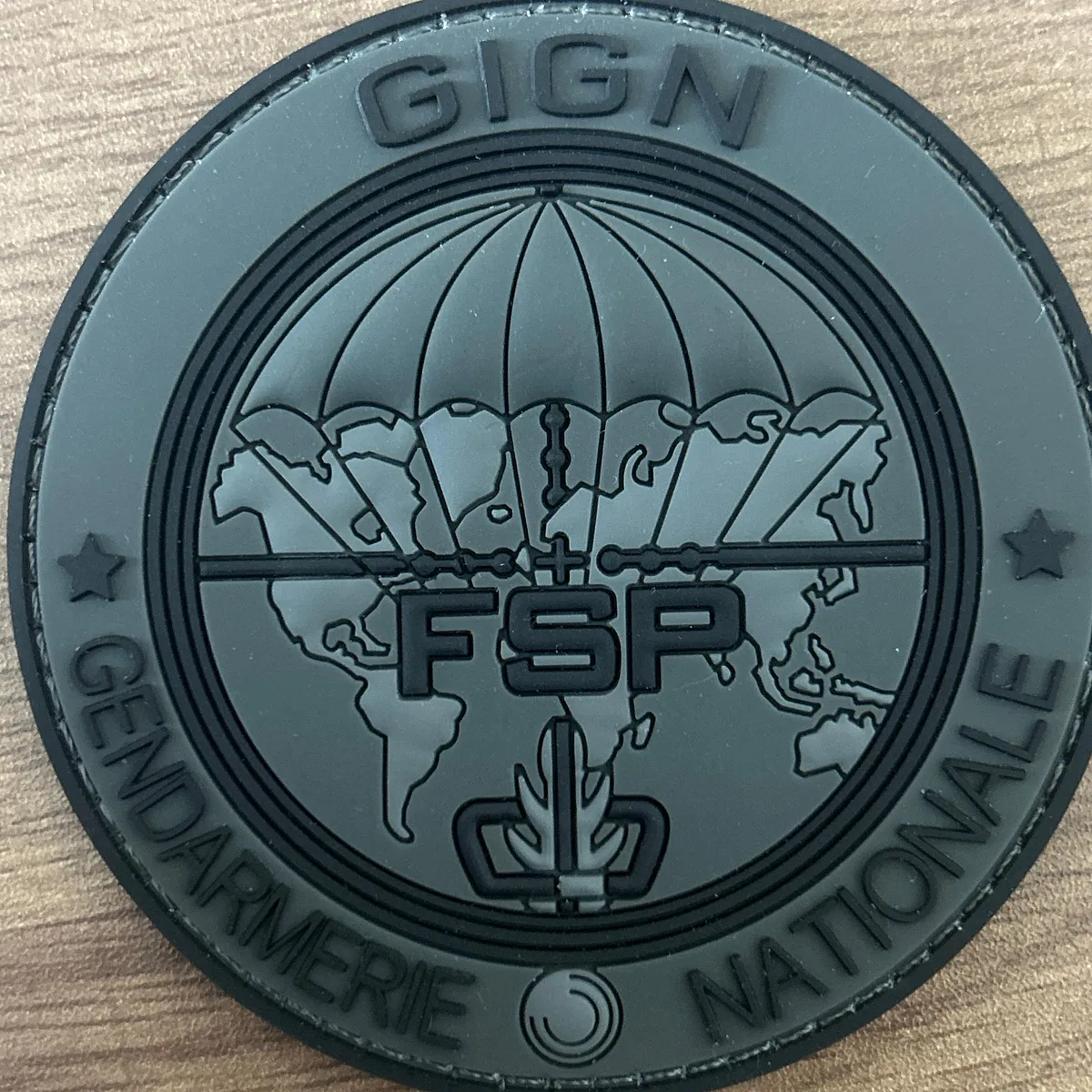 GIGN FSP