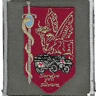 SSA : Régiment Médical Félin type 1 CCL