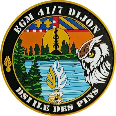 EGM 41/7 Dijon - DSI Des Pins