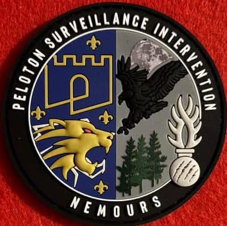 PSIG - Nemours