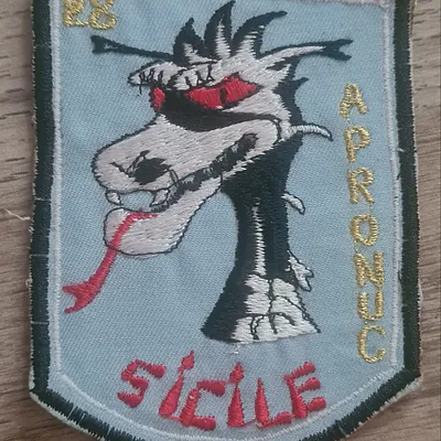 APRONUC / 28e RT / Station Sicile