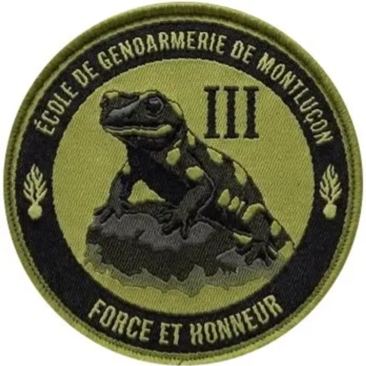 Ecole de Gendarmerie de Montluçon - 3e Cie
