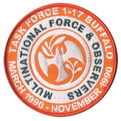 Multinational Force & Observers / Task Force 1-17 Buffalo