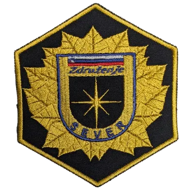 Association des anciens combattants de la police slovène (SEVER)